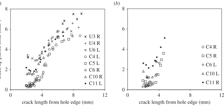 Figure 7. Plots of crack tip plastic zone area for (specimens, as ina) primary and (b) secondary cracks observed on the mandrel entry/front face of the igure 4a,b, respectively.