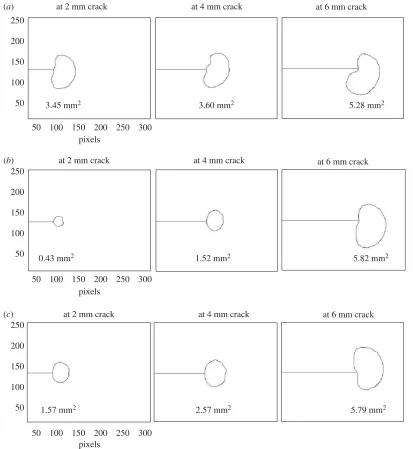 Figure 8. Plastic zones associated with the crack tip at three diferent lengths of the crack that led to failure for (represent the infrared camera sensor window of 256C10 to which single compressive stress cycle ofa) un-expandedspecimen,U3,(b)cold-expande