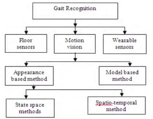 Figure 2.1: Classification of gait recognition system 