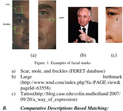 Figure. 2. Surveillance frame displaying common surveillance problems 