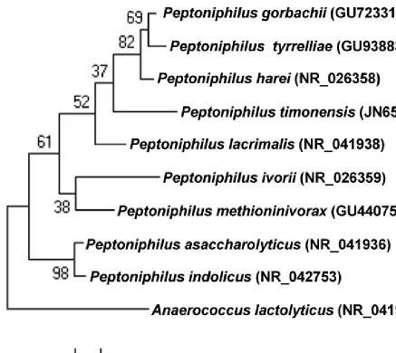 Figure 1. Phylogenetic tree highlighting the position of method within the MEGA software