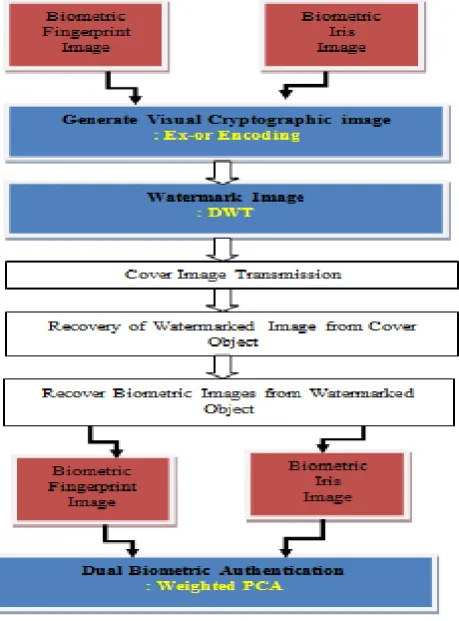 Figure 6 : Basic Model 