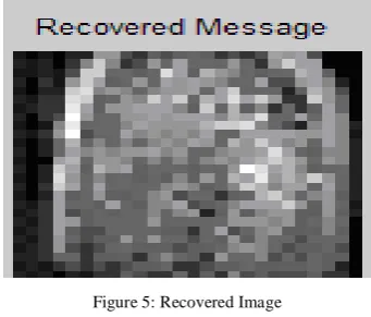 Figure 8: Iris Image 