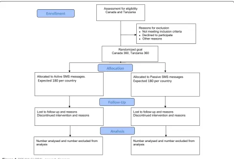 Figure 1 DREAM-GLOBAL consort diagram.