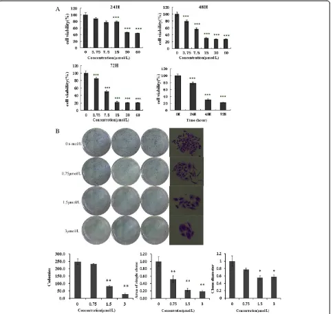 Figure 1 Curcumin inhibits the proliferation of GBC-SD cells. (A) Cells were treated with varying concentrations of curcumin, and the cellproliferation and IC50 were determined by MTT assay on days 1, 2, and 3