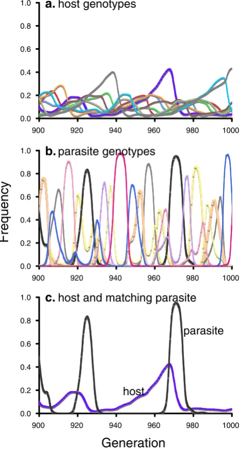 Fig. 2 Red Queen dynamics.a sexual population of hosts. a Oscillation of eight host genotypes in b Oscillation of eight parasite genotypes;infection requires that the parasite genotype “matches” the hostgenotype