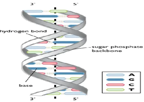 Figure 1.3: Public Key Cryptography