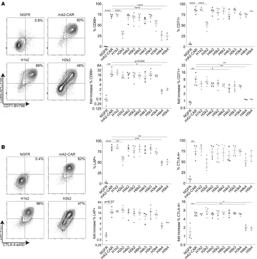 Figure 2. In vitro function of a panel of hA2-CARs on human Tregs. (A and B) ΔNGFR control/CAR Tregs were cocultured with a 2:1 (Tregs: K562) ratio of HLA-A2–expressing K562 cells