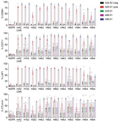 Figure 4. Functional cross-reactivity of a panel of hA2-CAR constructs in human Tregs