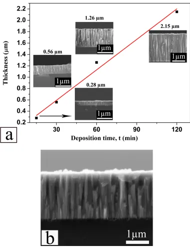 Fig. 5.  (a). Thickness variation of the HIPIMS/UBM coatings with the deposition time and the related cross-section SEM images