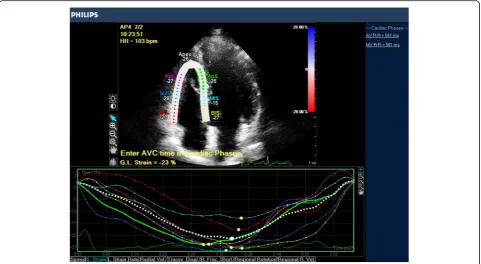 Fig. 1 The assessment of RV systolic function by 2D STE longitudinal strain in an apical RV view