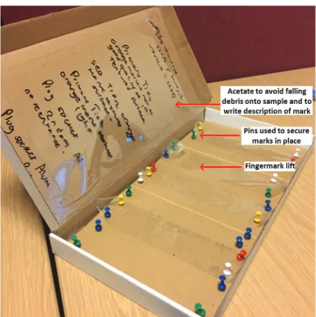Fig. 1Customised storage and transportation box. The box accomo-dates primary/secondary lifts with or without acetate backing sheet.Pins will secure the lift and an acetate sheet is inserted in the inside wallof the box lid to protect from debris the ﬁngermark lifts that are notplaced on acetate sheets.