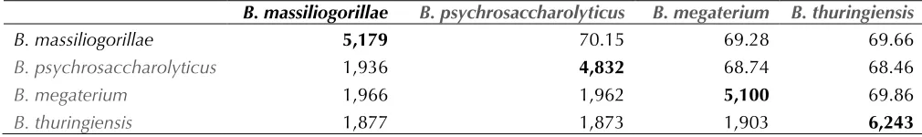 Table 6. The number of orthologous proteins shared between genomes†  