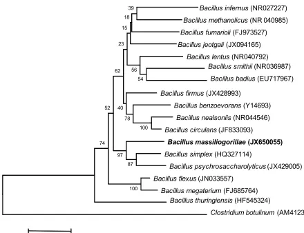 Figure 1. Phylogenetic tree highlighting the position of quences were aligned using CLUSTAL X (V2), and phylogenetic inferences obtained using the maximum-type strains within the likelihood method within the MEGA 5 software [22]