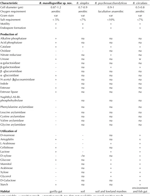 Table 2. Differential phenotypic characteristics between close B. massiliogorillae sp