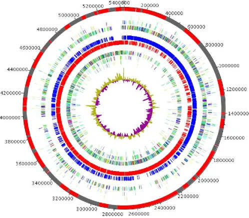 Figure 6. Graphical circular map of the genome. From outside in: contigs (red / grey), COG category of genes on the forward strand (three circles), genes on forward strand (blue circle), genes on the reverse strand (red circle), COG category on the reverse