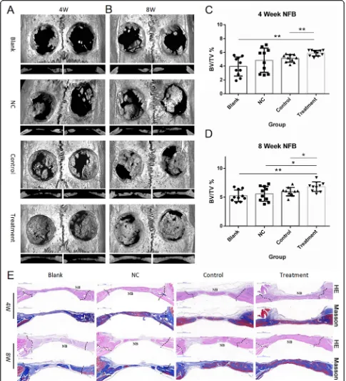 Fig. 5 Mitochondria transfer enhances the therapeutic effects of BMSCs on bone defect healing in vivo.sagittal views of rat cranial critical-sized full-thickness defects at 4 ((* a, b Representative micro CT images anda) and 8 weeks (b) after surgery