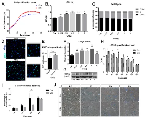 Fig. 2 Mitochondria transfer enhanced the proliferative capacity, as demonstrated byreplicative senescence, as shown bypositive cells at the 6th to 9th passages
