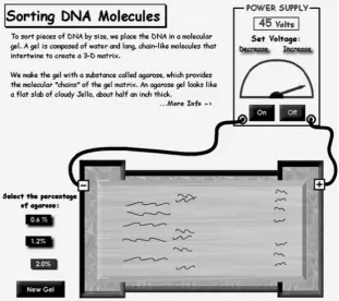 Fig. 3 Data evaluation with the