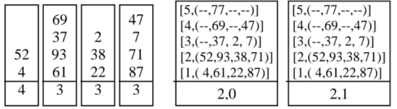Figure 2b shows the structure of a parity record.  Field r contains the rank and serves  as the key