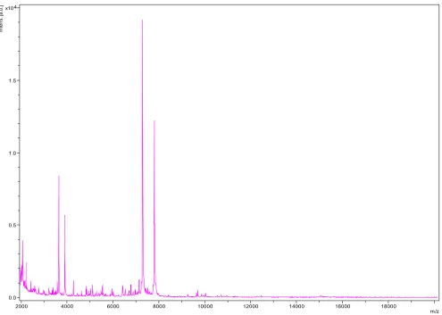 Figure 4. Reference mass spectrum from C. dakarense strain FF1T. Spectra from 18 individual colonies were com-pared and a reference spectrum was generated