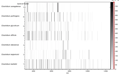 Figure 5. Gel view comparing y-axis displays the running spectrum number originating from subsequent spectra loading