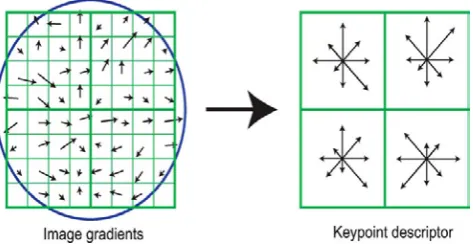 Figure 2: Maxima and minima of the difference-of-Gaussian images are detected by comparing a pixel (marked with X) to its 26 neighbours in 3×3 