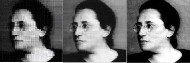 Figure 1 :This is a picture of a famous mathematician: Emmy Noether compressed in different ways 