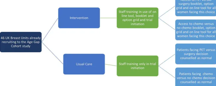 Figure 1 Overview of the cluster randomised controlled trial. PET, primary endocrine therapy.