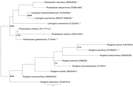 Figure 1. Phylogenetic tree highlighting the position of L. aquimarina relative to the type strains of the 