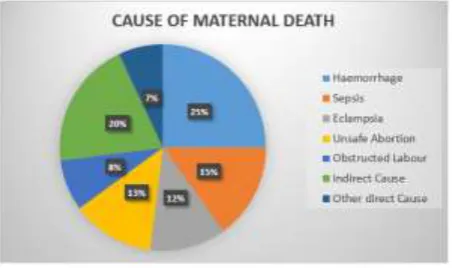Figure 1: Causes of maternal deaths. 
