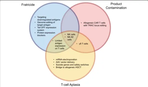 Fig. 2 Venn diagram representing challenges and solutions in targeting T cell antigens with CAR therapy