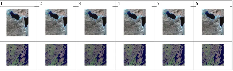 Fig 6: Representative restoration results for satellite images: (1) Original image, (2) Degraded Image using Gaussian blur of size 5 and standard deviation 5, (3) estimated image using Weiner Filter DE convolution, (4) estimated image using  