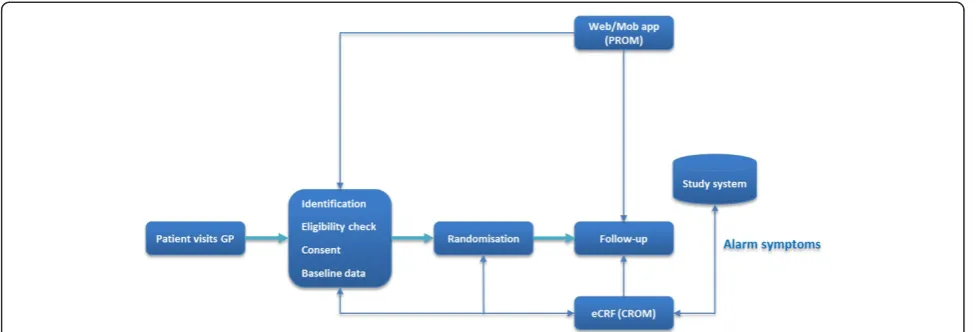Figure 2 TRANSFoRm clinical trial workflow.