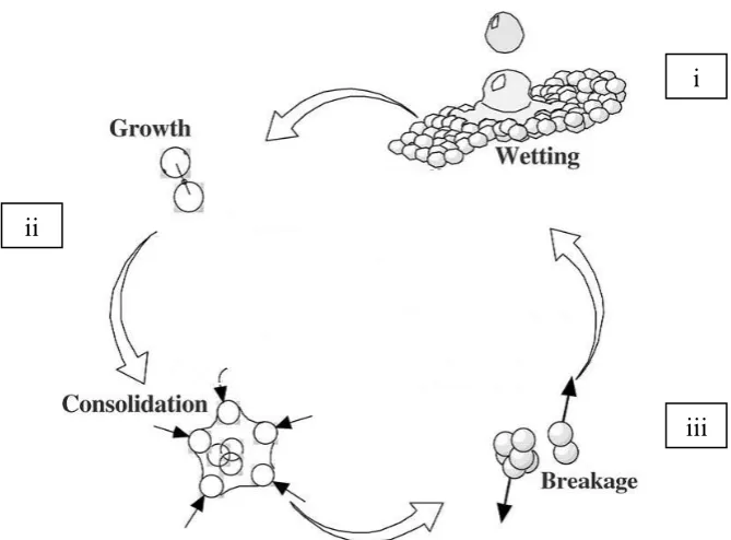 Figure 2.1: Three key mechanisms of granulation. Modified from (Mehta et al., 2005).