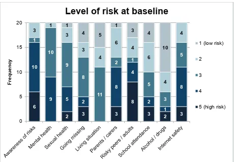 Figure 10: Level of risk at baseline 