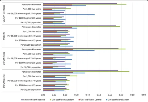 Fig. 3 Comparison of Gini coefficients of different indicators at both national and regional levels