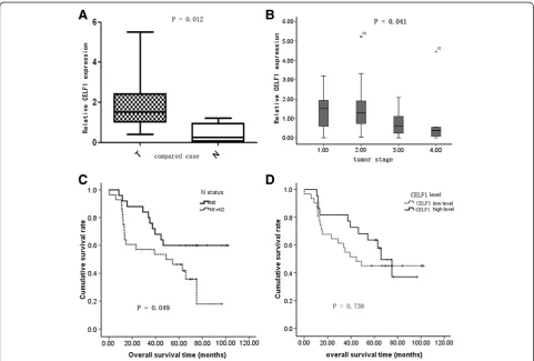 Figure 1 Expression levels of CELF1 in lung cancer tissues. (A) Expression levels of CELF1 in 10 lung cancer tissues compared with normallung tissues analyzed by real time PCR