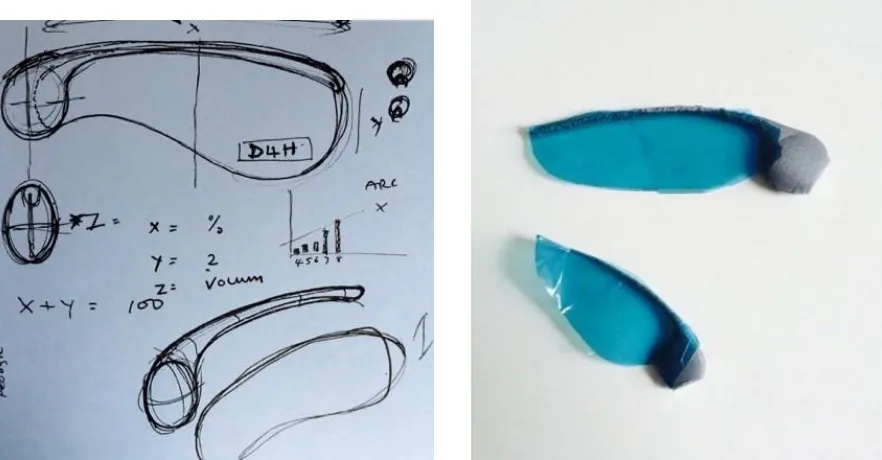 Figure 1. The sycamore seed was identified as an appropriate analogy for the data-object we were constructing