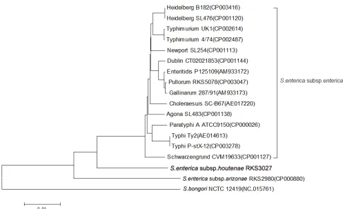 Figure 1. Phylogenetic tree highlighting the position of types and strains of on the comparison of concatenated nucleotide sequences of 2,500 orthologs conserved in all strains