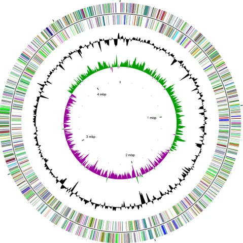 Figure 2. Graphical circular map of the S. enterica subsp. houtenae strain RKS 3027 genome