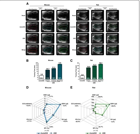Fig. 1 Automated assessment of LV function in healthy mice and rats. a Exemplary cine loops +/− tracings by conventional 2DE and novelAuto2DE in healthy mice and rats