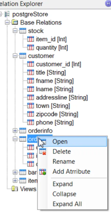 Figure 5.2: Relation ExplorerIn order for the user to execute queries a database