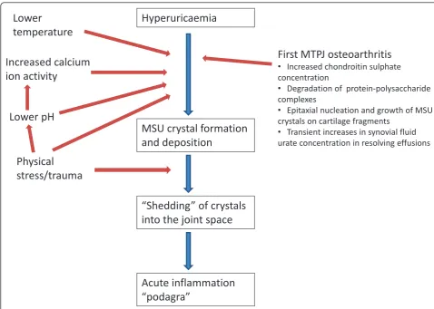 Figure 3 Processes enhancing MSU crystal formation and deposition at the first MTPJ.