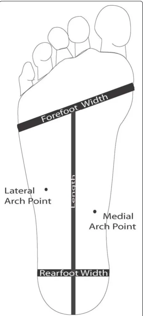 Figure 2 Foot parameter measurements.