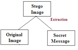 Figure 4 Extraction Process in Steganography 