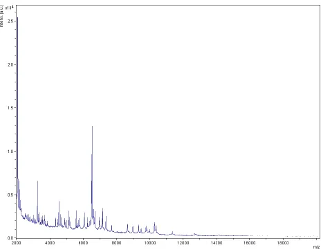 Figure 4. Reference mass spectrum from A. ihumii strain AP11T. Spectra from 12 individual colonies were compared and a reference spectrum was generated