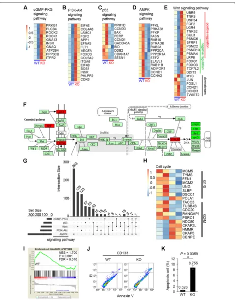 Fig. 6 (See legend on next page.)