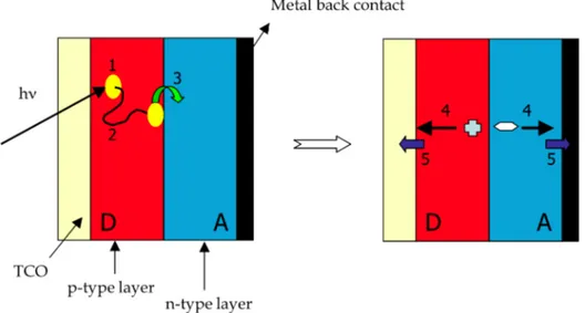 Figure 8.4. Schematic drawing of the working principle of an organic photovoltaic cell