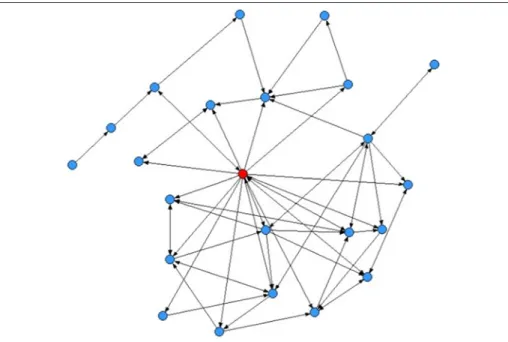 Figure 7.  Red central node represents the instructor—typical social network visualization  during the early facilitation phase, where the instructor is mediating a discussion.